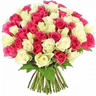 Order Centennial Pink White Roses for Valentine