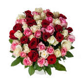 Buy Century of Roses for Valentines Day