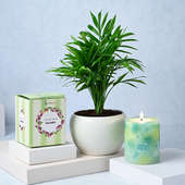 Chamandorea Plant with Lavender Scented Candle for Mom