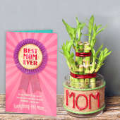 Jute Wrapped Bamboo in Glass Vase for Mom with a Card