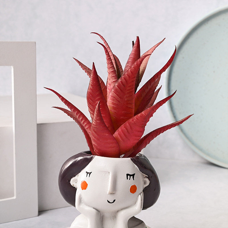 Send Charming Artificial Howarthia Plant Online