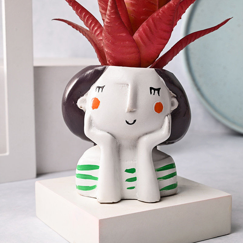 Order Charming Artificial Howarthia Plant Online