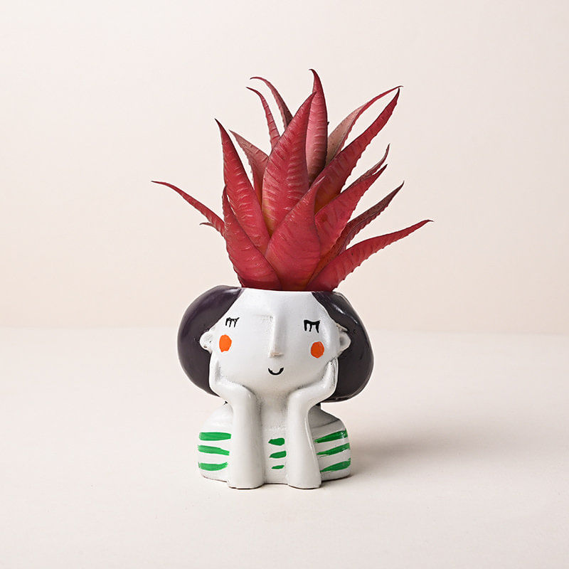 Charming Artificial Howarthia Plant Online