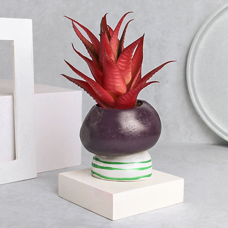 Charming Artificial Howarthia Plant Online