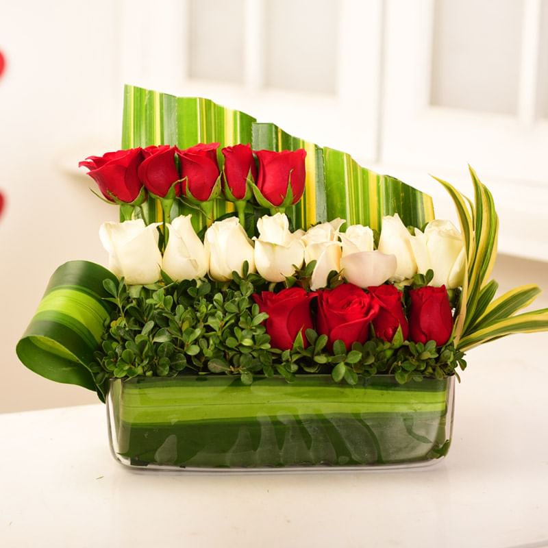 Charming Romantic Love Combo