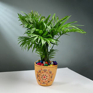 Chemonderia Plant In Embroidery Design Pot