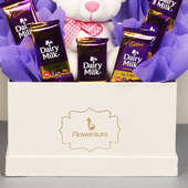 Best Choco Blush Box Combo Of Pink Teddy And Dairy Milk