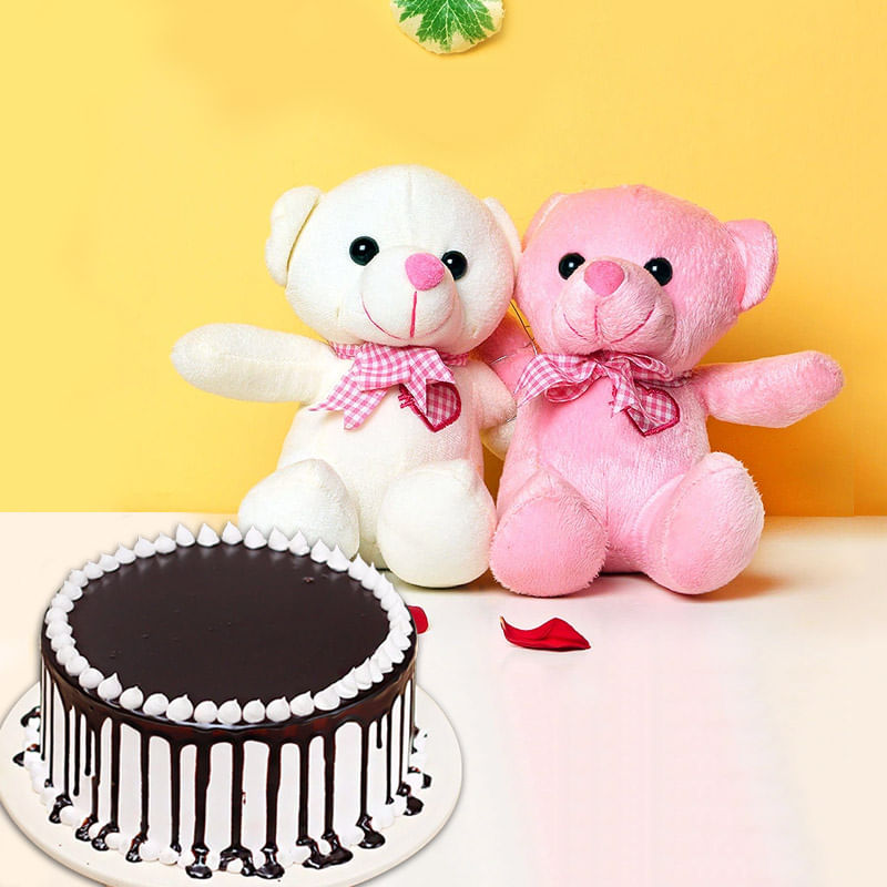Choco Drip Softy Combo - Two 6 Inch Teddies with 500 gm Chocolate Cake