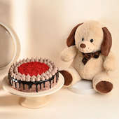 Choco Red Velvet Fusion Cake And Teddy Combo