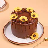 Choco Sunflower Drip Cake