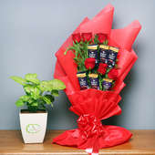 Choco Syngonium Plant Combo - Foliage Plant Indoors in Floweraura Chatura Vase and Bouquet of 6 Dairy Milk Chocolates with 6 Red Roses