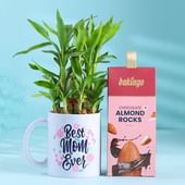 Chocolate Almonds N Bamboo Mug Plant For Mum