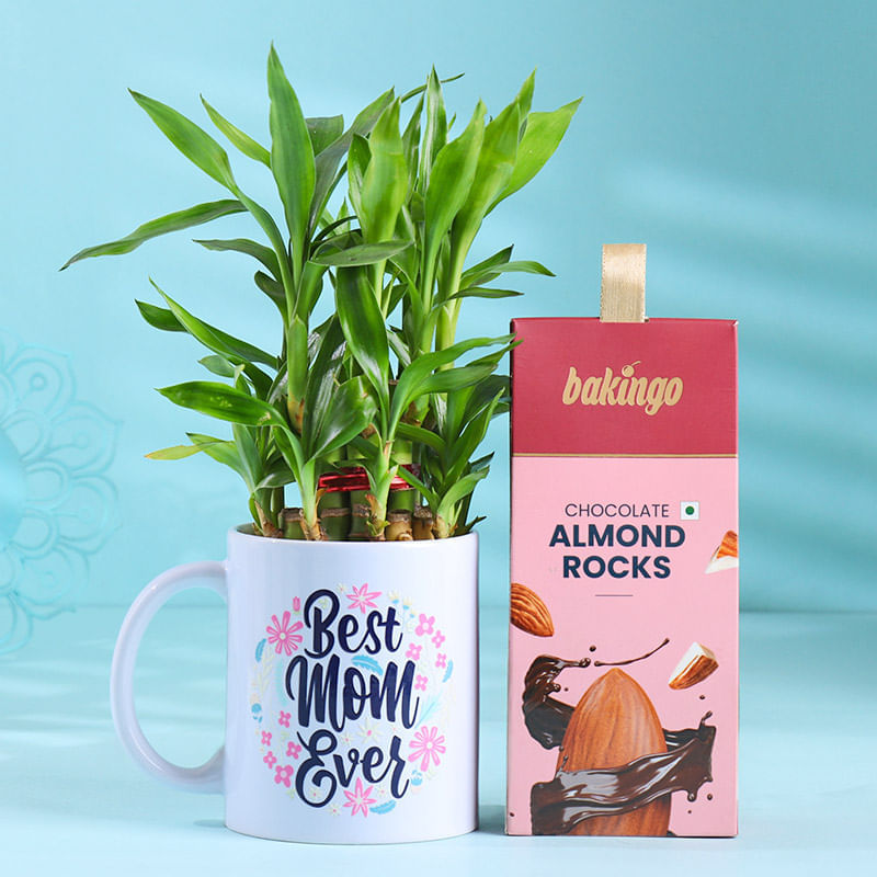 Chocolate Almonds N Bamboo Mug Plant for Mum