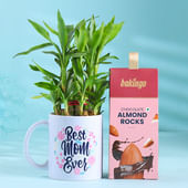 Chocolate Almonds N Bamboo Mug Plant for Mum
