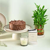 Chocolate Cake With Lucky Bamboo N Scented Candle