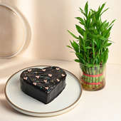 Chocolate Heart Shaped Cake With Lucky Bamboo Plant