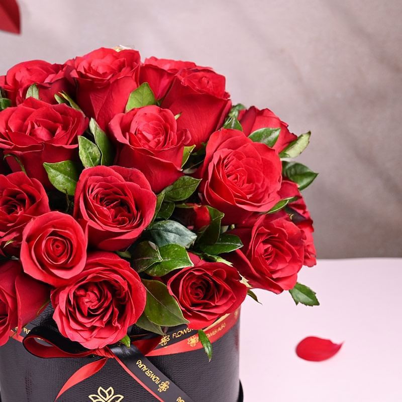 Chocolate Kissed Roses Symphony