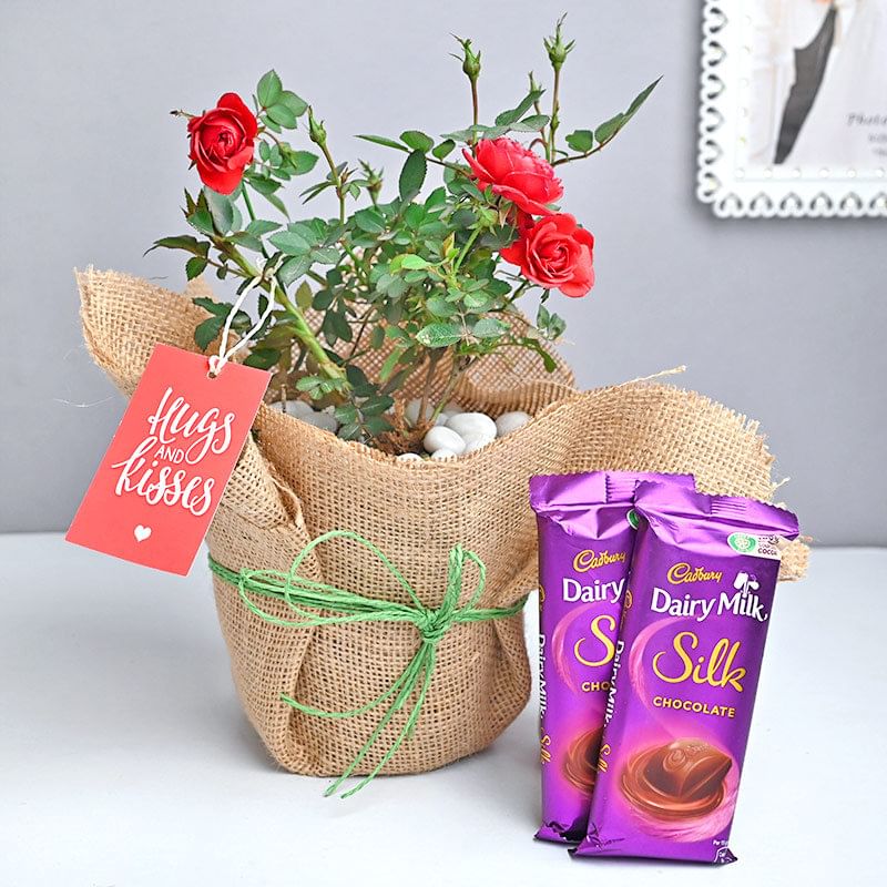 Chocolaty Rose Combo