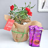 Chocolaty Rose Combo - Cute Valentine Gift
