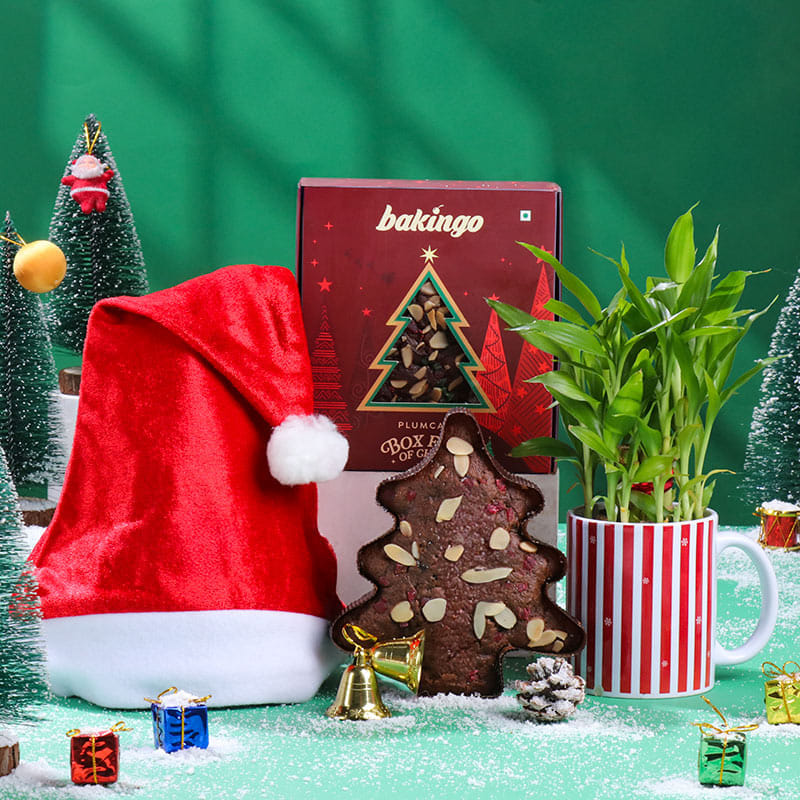 Christmas Cheer N Plum Cake Hamper