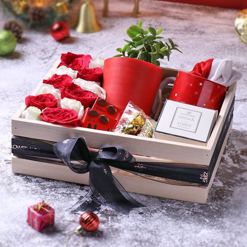 Christmas Decor With Santa Cap Jade Plant N Candle