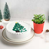 Christmas Tree Cake And Jade Plant Vase Duo