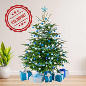 Christmas Tree With Blue N Silver Decorations