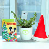 Christmassy Combo - Succulent and Cactus Outdoors in Rhonda Vase with Christmas Cap and Christmas Greeting Card