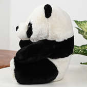 Cool Chubby Panda Soft Toy