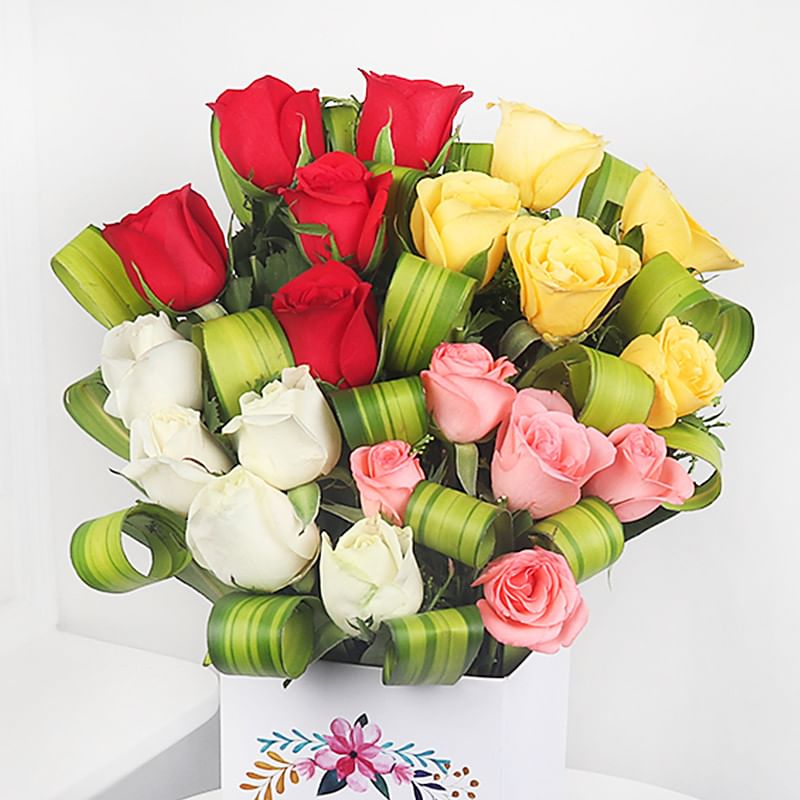 Mixed Roses in Zoomed View