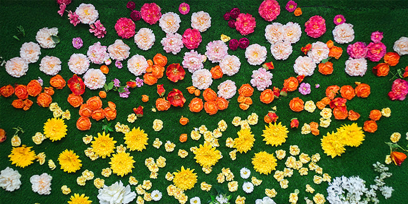 How Flower Gifting Shapes Social & Cultural Celebrations in Bangalore