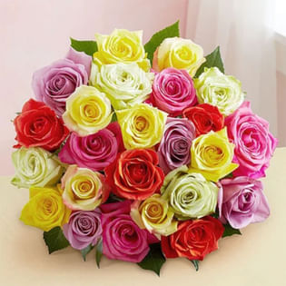 Four Color Roses