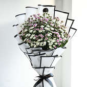 Combination Of White And Pink Mini Daisy 10 Stems In A White Paper Wrap
