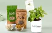 Flextrade Combo Product