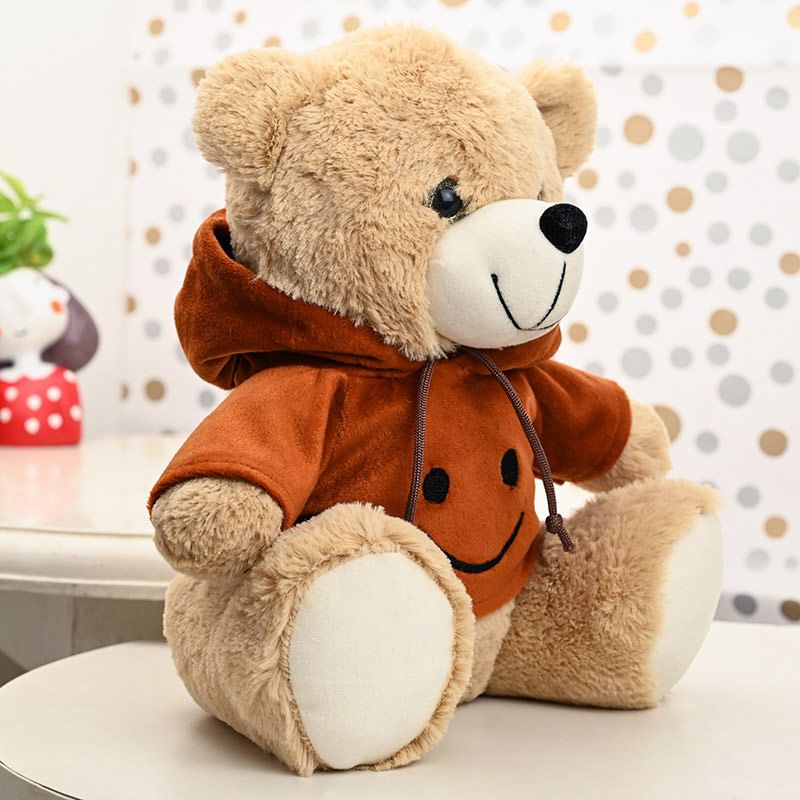 Cool Hoodie Teddy Soft Toy