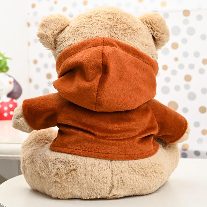 Cool Hoodie Teddy Soft Toy