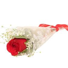 Corporate Single Red Rose