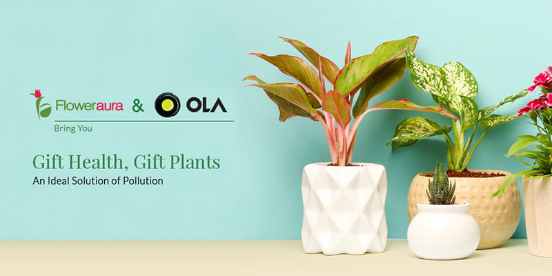 Gift Health, GIft Plants: A Collaboration With OLA For The Wellness Of Delhi NCR 