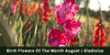 August Birth Flowers - Gladiolus And Poppy