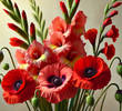 August Birth Flowers: Gladiolus and Poppy