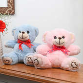 Cozy Teddy Bear Duo