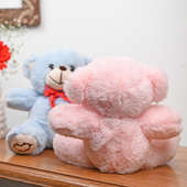 Cute Cozy Teddy Bear Duo