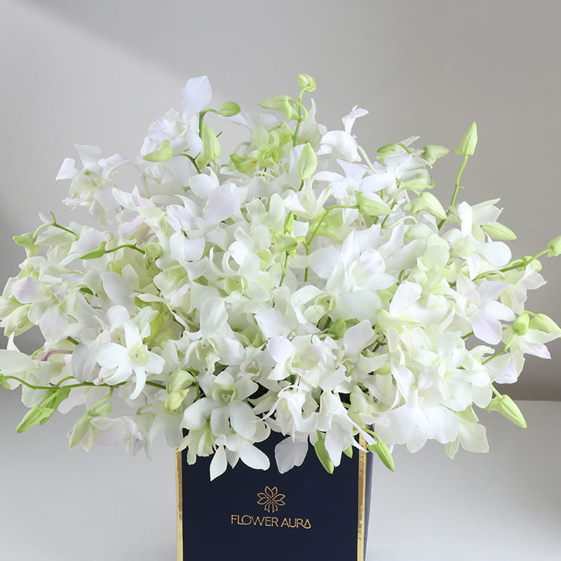 Crown Of White Orchids