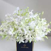 Crown Of White Orchids