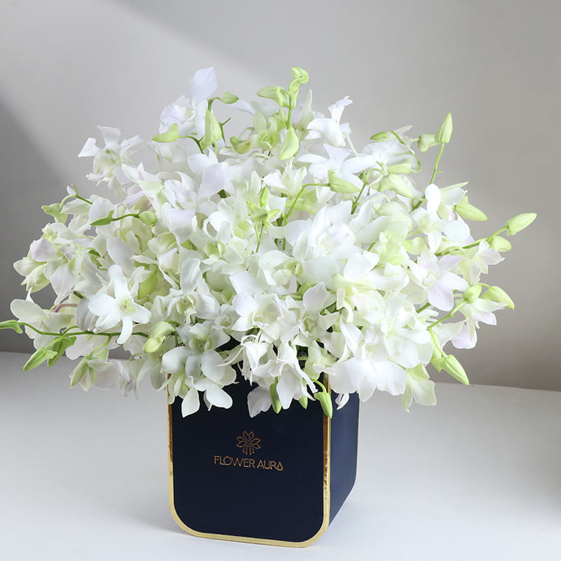 Crown Of White Orchids