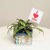 Valentine Couple Plant Gift