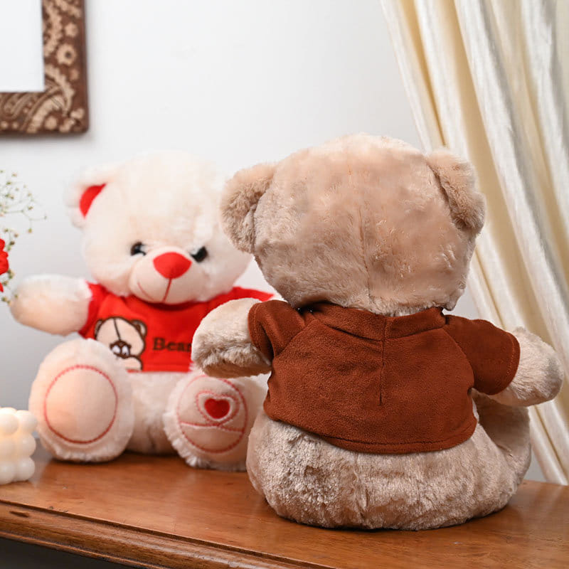 Lovely Cuddly Bears Duo