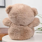 Cuddly Cushy Teddy