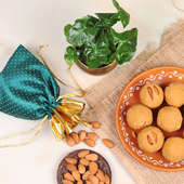 Curly Plant And Laddoo Almond Combo for Diwali