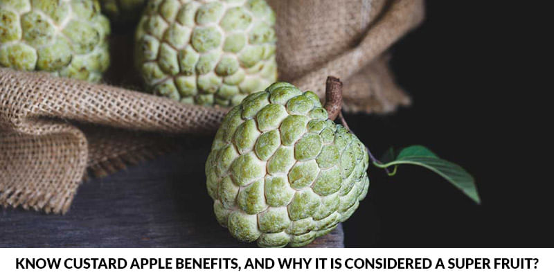 Know Custard apple benefits, And Why It Is considered A Super Fruit?